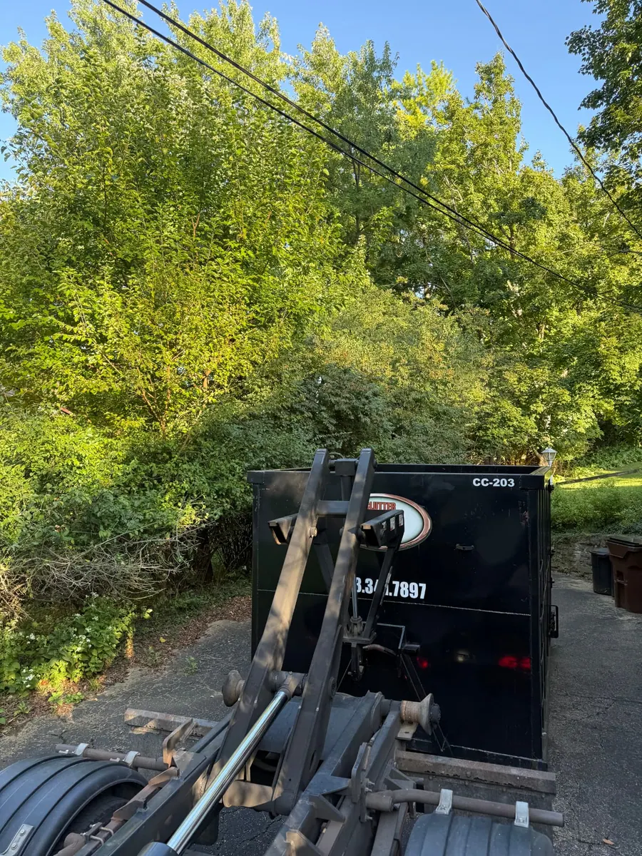 Clutter Cleanout 20 yard dumpster CC-203 delivered by roll-off truck to a shaded driveway in Blue Ash, OH